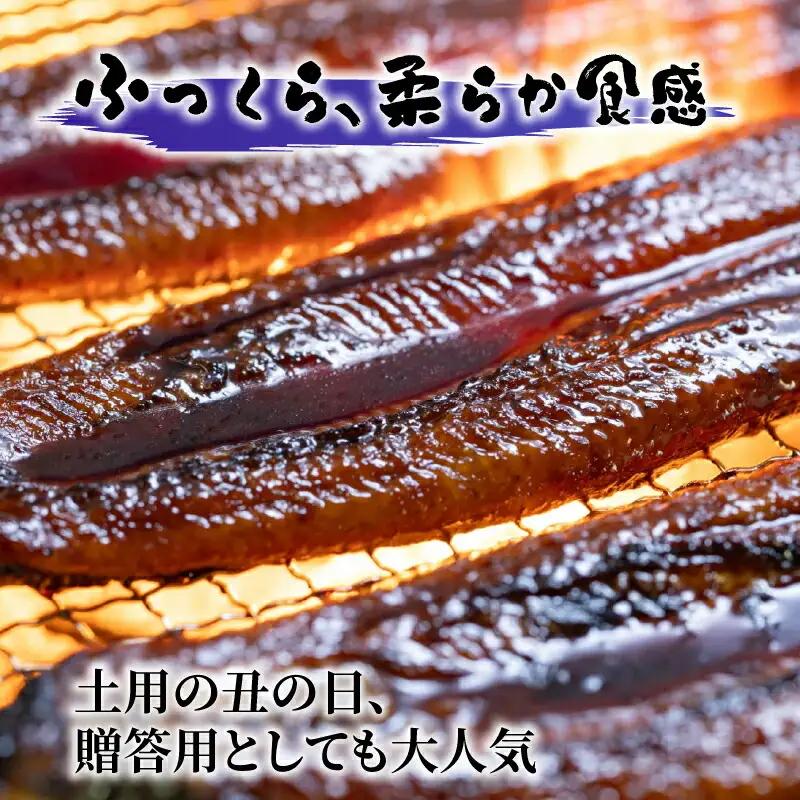 【通常用】極上国産うなぎ四万十桜  蒲焼き(140g×2尾)  完全無投薬 蒲焼き