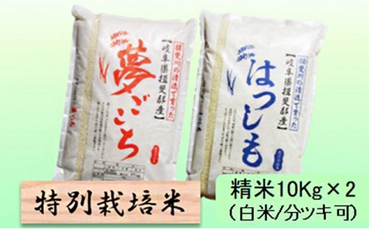 
                  特別栽培米★精米20kg（白米/5分/7分ツキ可）【夢ごこち・ハツシモ】 玄米は別に出品 お米 ブランド米 銘柄米 ご飯 モッチリ 冷めても美味しい 低アミロース米 大粒 アッサリ 
                