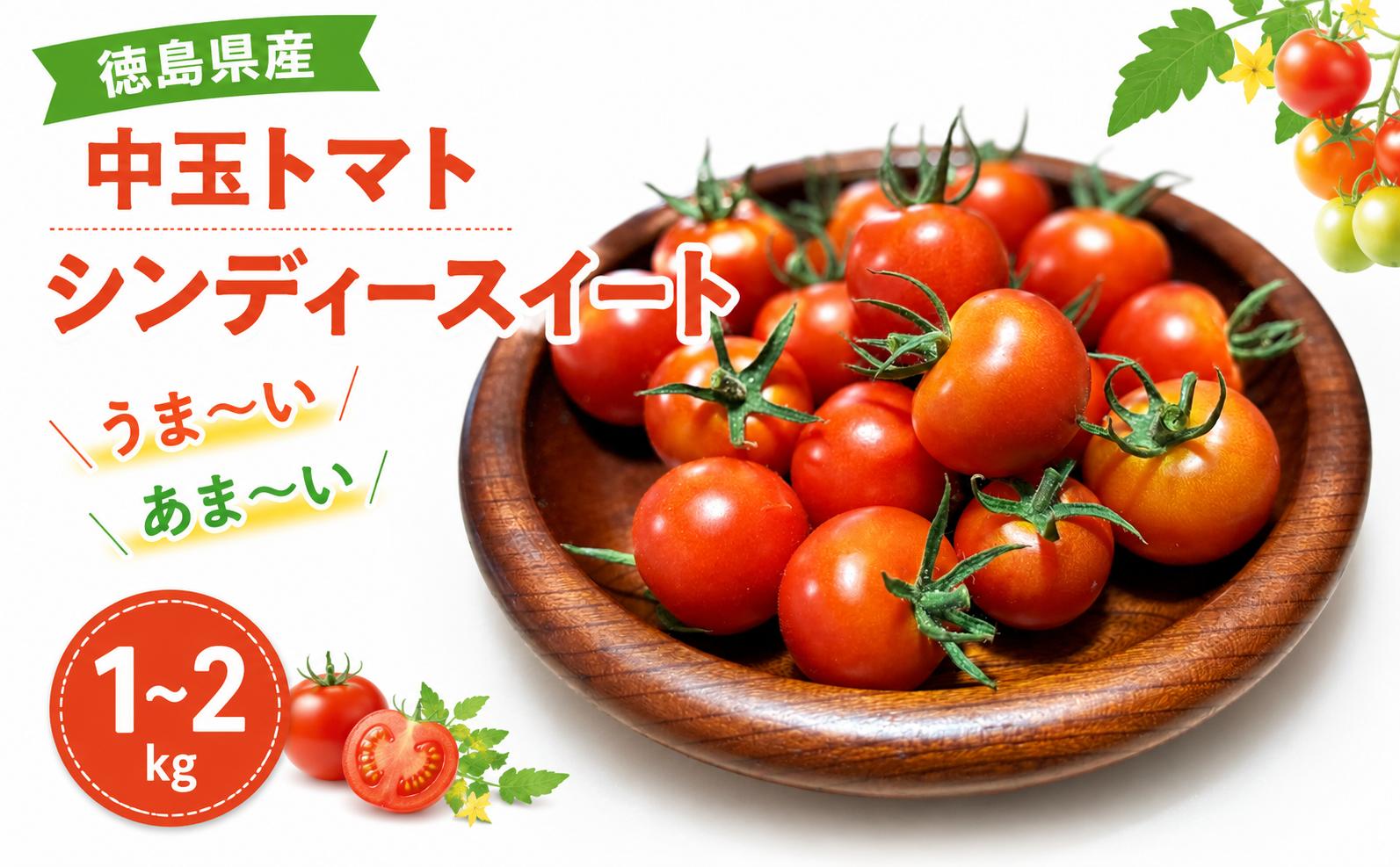 
                  【 先行予約 7月出荷 】 トマト 高糖度 1kg 2kg 甘い 中玉トマト ミディトマト 新鮮 旬 季節 贈り物 ギフト 贈答 プレゼント 野菜 お弁当 おかず サラダ トマトジュース tomato 健康 徳島県 三好市 みよし 三好野呂内野菜生産加工組合 シンディスイート
                