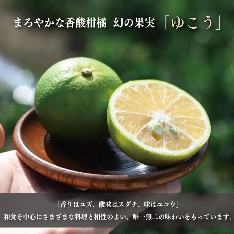 ゆこう くるみ ドレッシング 150ml × 3本 ゆこう
