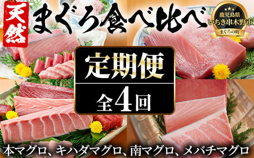 E-127H【4か月定期便】厳選！4種の天然まぐろを食べ比べ！ メバチマグロ キハダマグロ 南まぐろ 本まぐろ 小分け