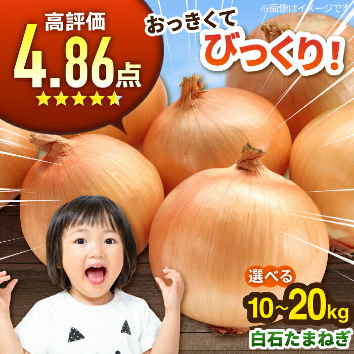 【ふるさと納税】【先行予約】柔らかく 甘い 白石産 たまねぎ 約10kg 約20kg〈選べる容量〉 / 野菜 タマネギ 玉葱 玉ねぎ オニオン 佐賀県産タマネギ 大容量 たまねぎ 柔らかい玉ねぎ 甘みのある玉葱 【佐賀県農業協同組合】 [IZZ001]