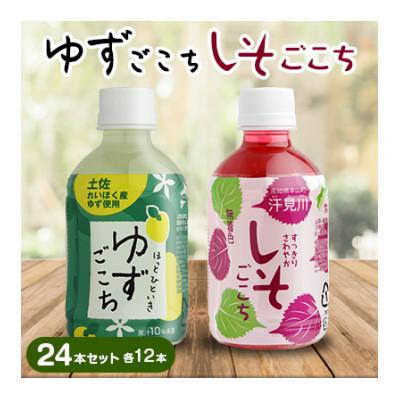 ふるさと納税 本山町 ゆずごこち・しそごこち　24本セット(各12本)