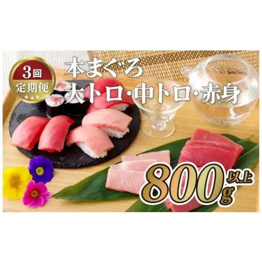 本マグロ【3回定期便】長崎県産 本まぐろ 3種セット  ( 大トロ 中トロ 赤身 ) 総計800g以上【本家永松屋】