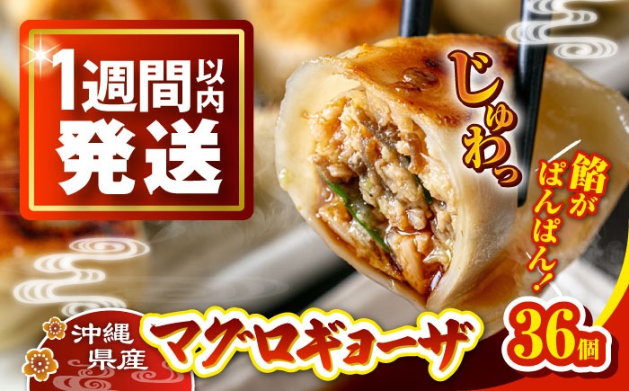 冷凍マグロギョーザ 36個(12個入り3パック) 餃子 冷凍 国産 マグロ 沖縄産 沖縄市 / 沖縄市漁業協同組合 パヤオ直売店[BCDZ010]
