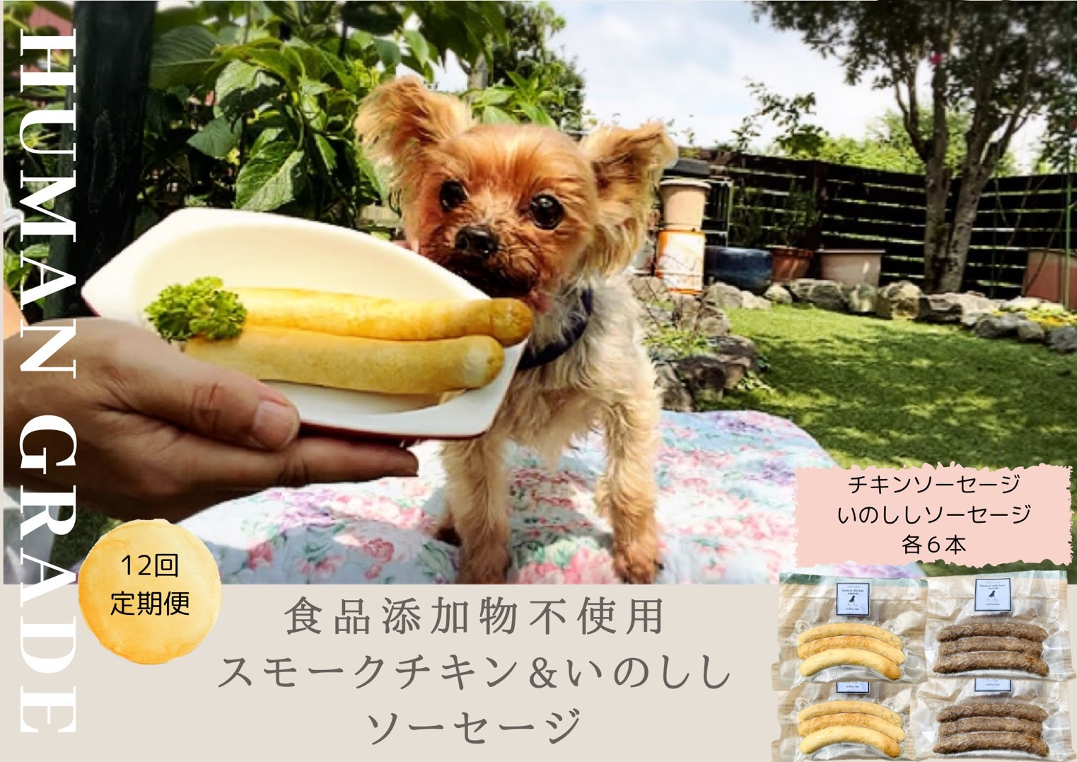 
FB022 　犬の無添加おかず☆燻製の香りがたまらないスモークチキン＆いのししソーセージ【12回定期便】
