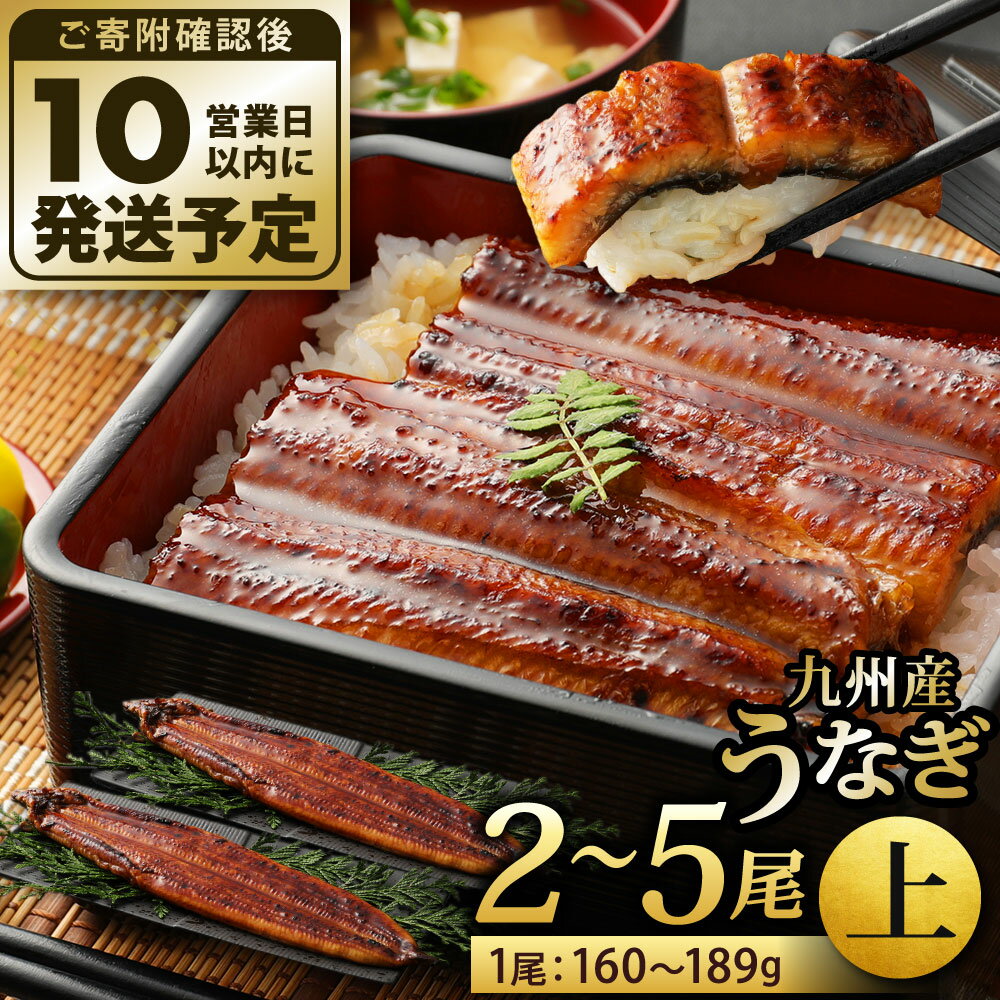 【ふるさと納税】九州産 うなぎ 蒲焼 上(1尾あたり160〜189g) 2尾／3尾／4尾／5尾 特製たれ・山椒付き 鰻 ウナギ 蒲焼き 大きい 冷凍 国産 送料無料 鹿児島、宮崎、熊本等産うなぎ原料使用