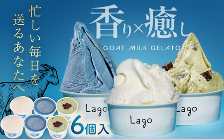 やぎミルクでチル！香りと癒しのジェラートセット 6個セット 3種類×2個 島根県松江市/SOh株式会社[ALAC004]
