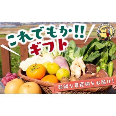 ふるさと納税 うきは市 これでもか!!ギフト(季節の果物・お野菜) U064-1VE-SEKG