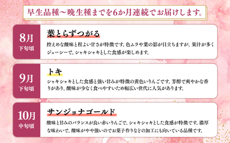 ≪2026年8月下旬頃より発送≫青森県産 訳あり家庭用りんご 6か月定期便 約3kg【青森県 平川市 なるみ農園】家庭用 訳アリ 青森 青森県産 平川 りんご リンゴ 林檎 くだもの 果物 フルーツ 