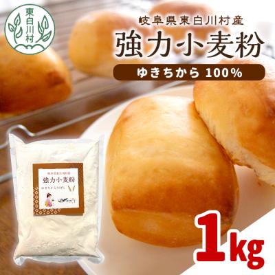 ふるさと納税 東白川村 岐阜県 東白川村産 強力粉 小麦粉 ゆきちから 1kg