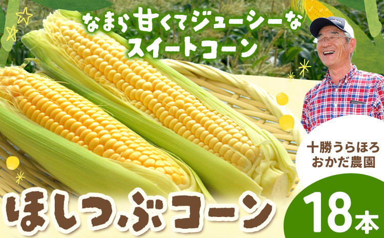 
            まぼろしの「ほしつぶコーン」18本 ジャンボサイズ とうもろこし おかだ農園 北海道 浦幌町産 【7月末‐8月中旬頃出荷】 安心安全 こだわりの栽培 朝もぎたて 産地直送 朝採り スイートコーン
          