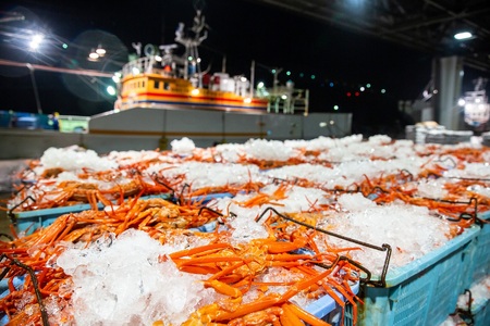 【訳あり】蟹屋の釜茹で紅ずわい蟹1.8kg箱詰めセット 冷蔵 「老舗 蟹専門店マルツ」