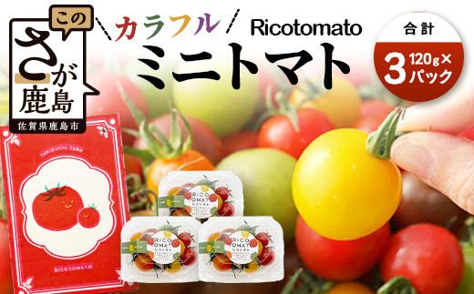 【先行受付】2027年1月より順次発送予定｜【少量パック】カラフルミニトマト6種 360g（120g×3）｜ トマト プチトマト 野菜  農家直送 ギフト 人気｜佐賀県鹿島市 たにぐちファーム A-211