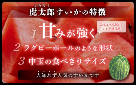 【先行予約】甘味が強い 虎太郎すいか 約5kg 1玉 数量限定 産地直送【果物 フルーツ】【2024年7月下旬より順次発送】 [e58-a001]