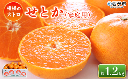 ＜せとか（家庭用）約1.2kg＞ 自宅用 訳あり ワケアリ 果物 くだもの フルーツ セトカ 1.2キロ 高級柑橘 柑橘の大トロ 柑橘 特産品 笑丸 愛媛県 西予市【常温】『2026年3月上旬～3月中旬に順次出荷予定』AAN0067