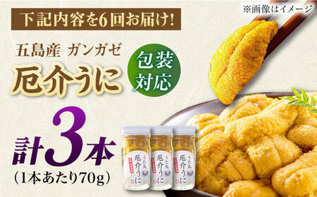 【全6回定期便】厄介うに ガンガゼの塩うに 70g×3本 / ウニ 雲丹 五島市 / うた丸[PGA004]
