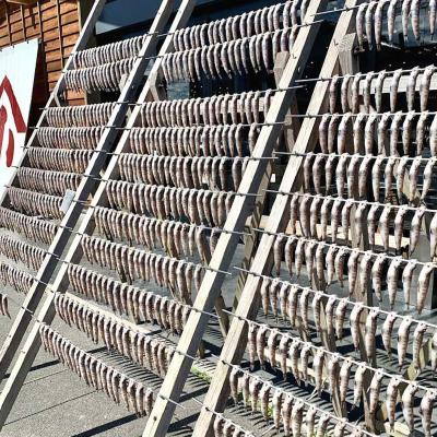 ふるさと納税 いわき市 いわき市の魚　めひかりの干物　24尾 |  | 02