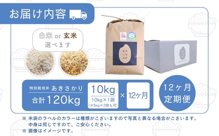 【先行予約】【令和7年産】定期便 ≪12ヶ月連続お届け≫ 受賞歴多数！福井県 坂井町産 特別栽培米あきさかり 10kg (玄米) 【2025年10月上旬より順次発送予定】【お米 こめ コメ 米 おいし