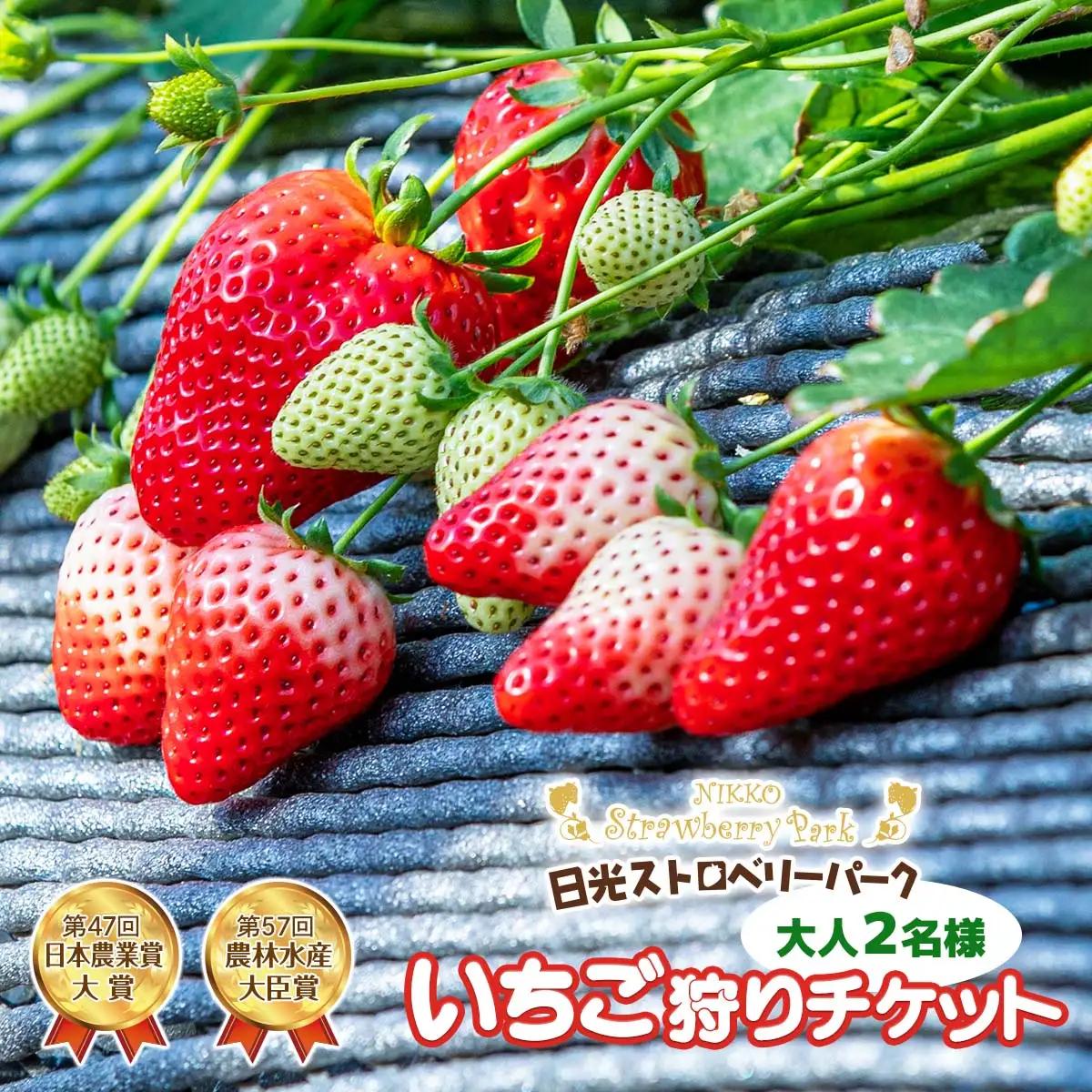 日光ストロベリーパーク いちご狩りチケット 大人2名様 [1034]
