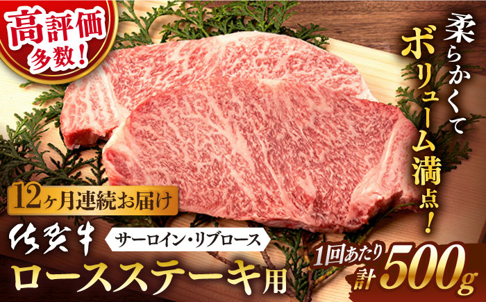 【12回定期便】 佐賀牛 ロース ステーキ用 500g (2枚入りセット) / 佐賀牛 佐賀県産黒毛和牛 牛肉 ロースステーキ【桑原畜産】 [NAB064]