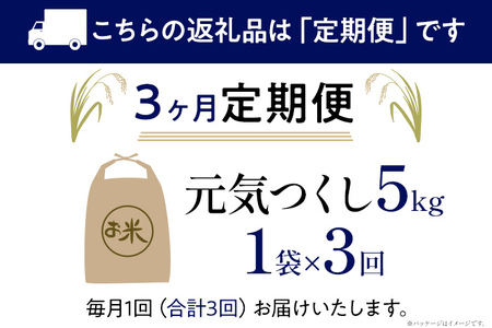 【3ヶ月 定期便】 元気つくし 合計15kg 5kg×3回 白米 お米 ご飯 米 精米 送料無料 お取り寄せグルメ お取り寄せ 福岡 お土産 九州 福岡土産 取り寄せ グルメ 福岡県