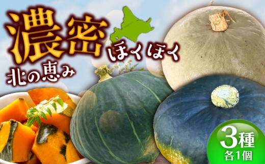 【先行予約】北海道 かぼちゃ ダークホース・とっておき・特濃こふき 3種類×1個 【9月中旬以降発送】《足寄町》【足寄アグリバイオ株式会社】 かぼちゃ カボチャ 南瓜 kabotya ダークホース とっておき 特濃こふき ハロウィン グラタン スープ 旬 新鮮 北海道産 道産 寒冷地 あしょろ [BEAC012]