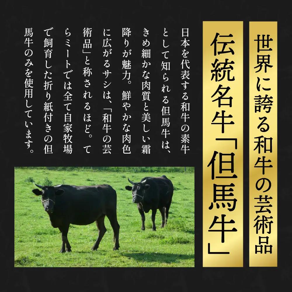 但馬牛煮込みハンバーグ 10個入 〈てらミート特製〉〈兵庫県産〉 ハンバーグ 惣菜