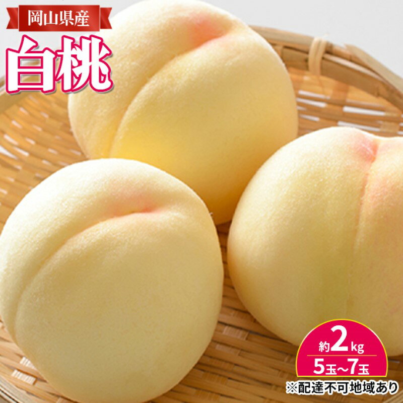 【ふるさと納税】桃 【2026年 先行予約】 岡山 白桃 約2kg入り（5玉～7玉） もも モモ 岡山県産 国産 フルーツ 果物 ギフト　お届け：2026年7月中旬～2026年8月中旬