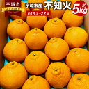 【ふるさと納税】【先行予約】 宇城市産 不知火 約5kg（約18～22玉） デコポンと同品種 しらぬい 果物 果実 フルーツ 柑橘 国産 熊本県産 九州 熊本県 宇城市 送料無料 【2025年3月上旬～5月上旬発送予定】