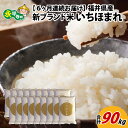 【ふるさと納税】【6ヶ月連続お届け】令和6年度産 福井県産新ブランド米 いちほまれ 15kg（5kg×3袋）×6ヶ月（計90kg） / 白米 精米 ご飯 ごはん 定期便