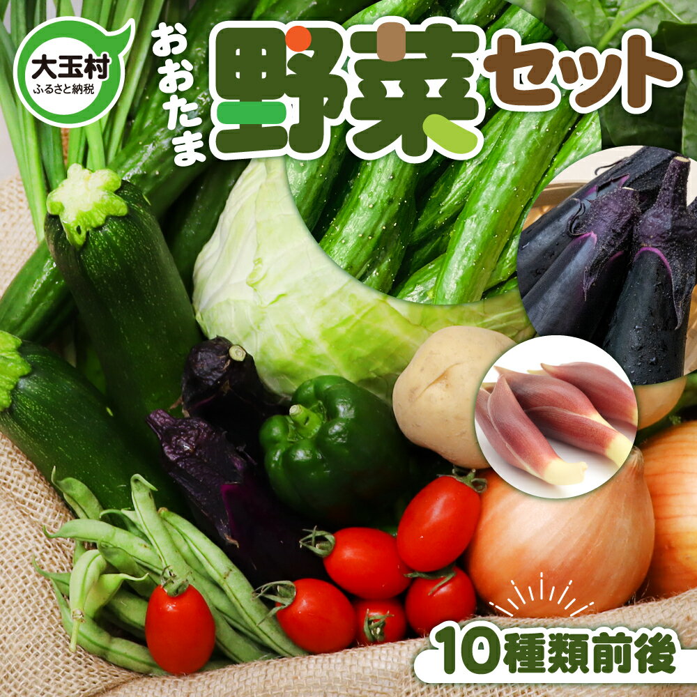 【ふるさと納税】野菜 セット ( 10種類前後 ) 旬 野菜セット お試し 5000円 5000円以下 採れたて 新鮮 産地直送 おまかせ 詰め合わせ やさい SDGs 炒め物 サラダ グリル 煮物 スープ 鍋 先行予約 2025年6月より発送開始 順次発送 送料無料 福島県大玉村 01104