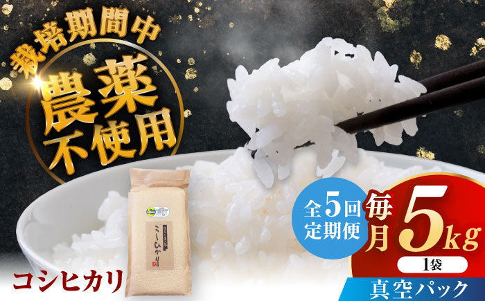 【全5回定期便】令和7年産 ななしま家 コシヒカリ 5kg / 精米 / 佐賀県 / 有限会社七島農産 [41AHAC007]