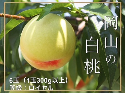 HT-1　【令和8年発送・先行予約】岡山県産　白桃（1玉300g以上）6玉　等級：ロイヤル　化粧箱入り