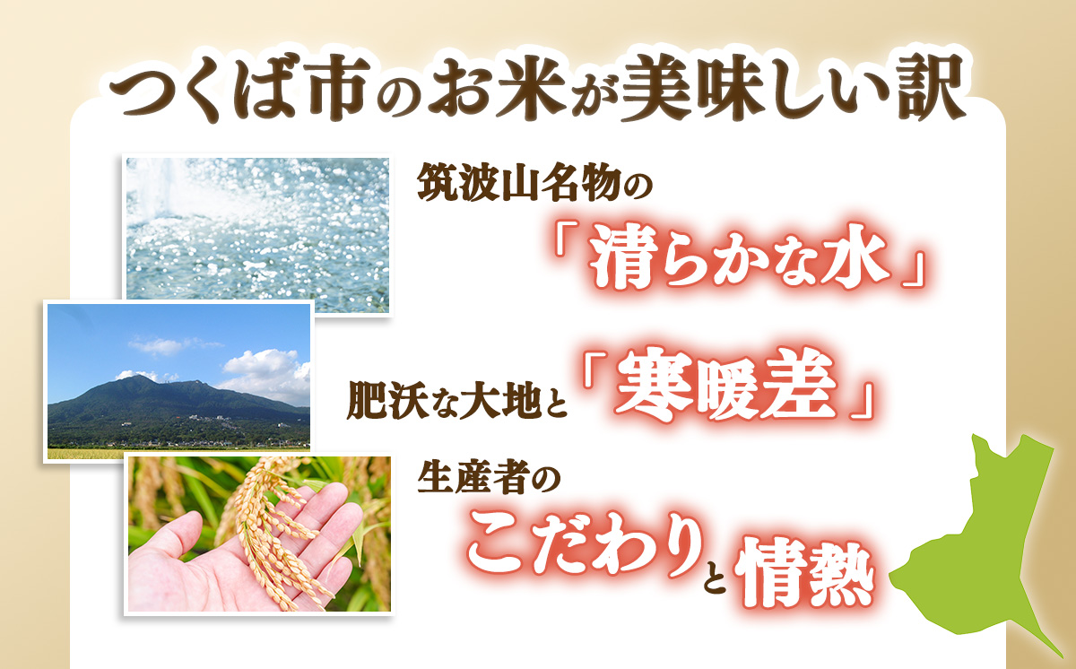令和7年産 市左衛門農場コシヒカリ10kg (玄米)【 米 こめ こしひかり コシヒカリ ご飯 玄米 10kg 令和7年産 茨城県 つくば市 】