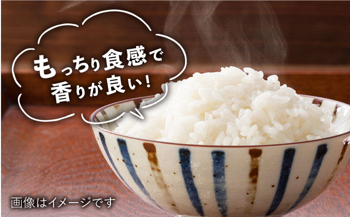 【最高ランク特A評価14年連続！】さがびより 5kg 白米