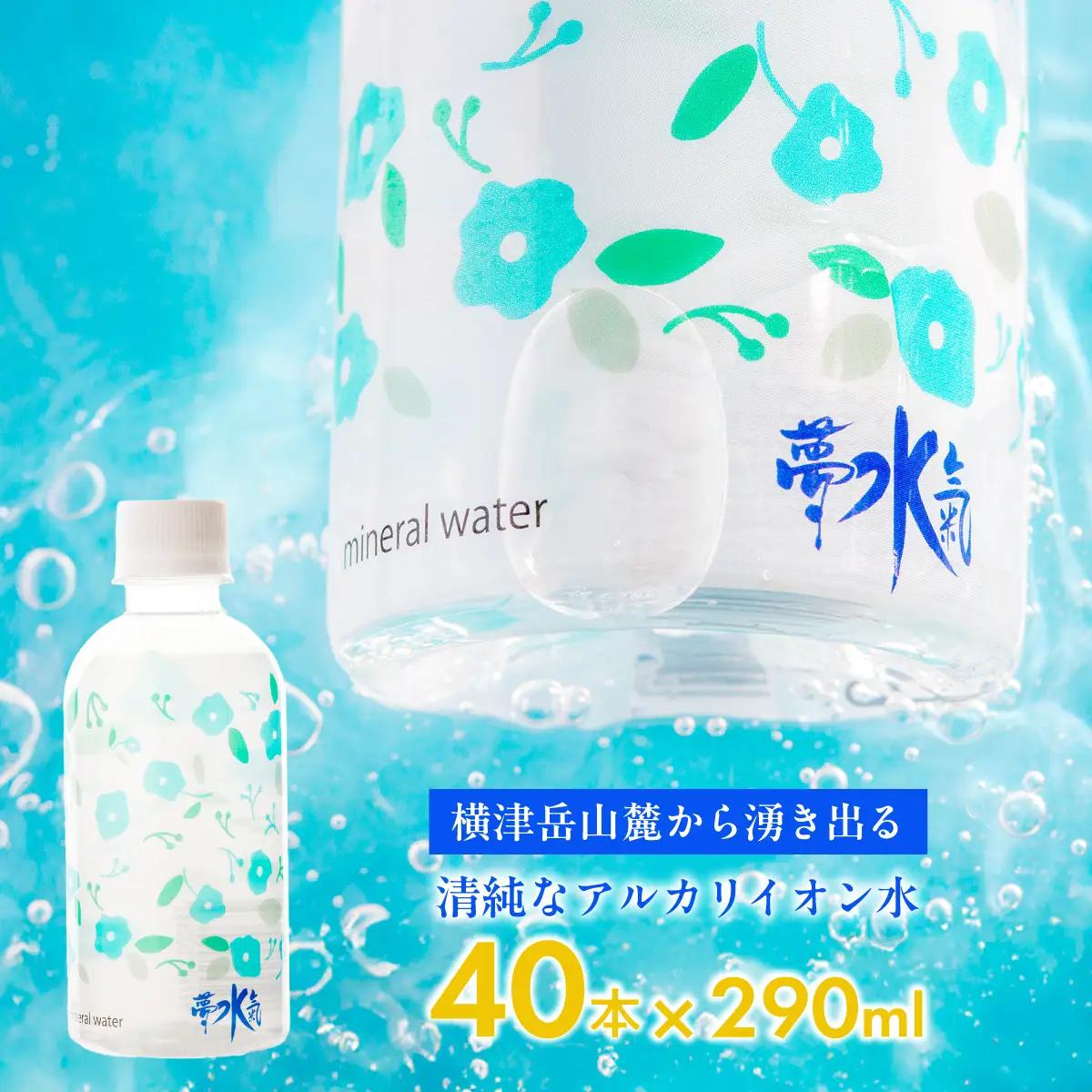 高評価★4.8 ミネラルウォーター夢水氣（290ml×40本） 天然アルカリイオン水 NABI002