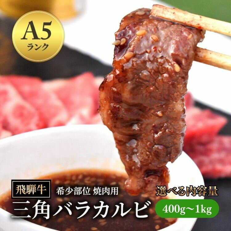【ふるさと納税】【選べる内容量】飛騨牛 三角バラカルビ 焼肉 ｜ 希少部位 和牛 牛肉 お肉 カルビ 焼肉用 A5 飛騨 飛騨高山 肉 牛 牛肉 ブランド牛 夜ご飯 和牛 焼き肉 ギフト 贈り物 お中元 お歳暮 お取り寄せ【岐阜県瑞穂市】※離島への配送不可【年内発送 12/15迄受付】