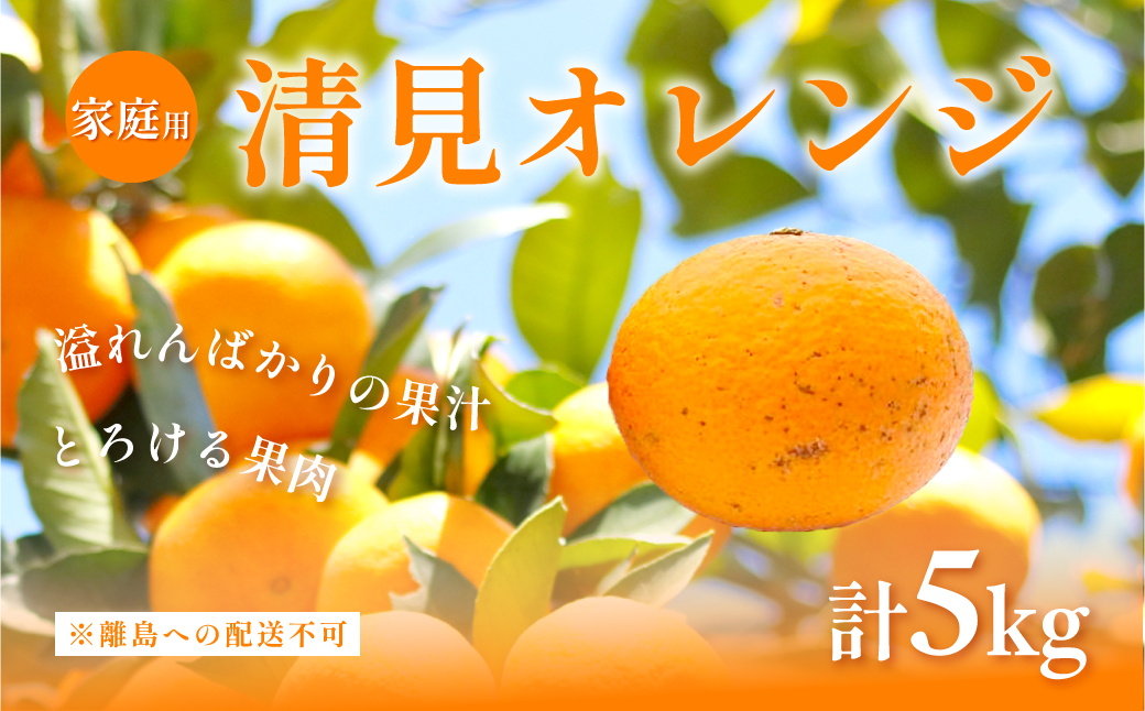 【先行予約】【家庭用】清見オレンジ計5kg ※離島への配送不可（2026年3月上旬頃より順次発送予定） IKTAC007