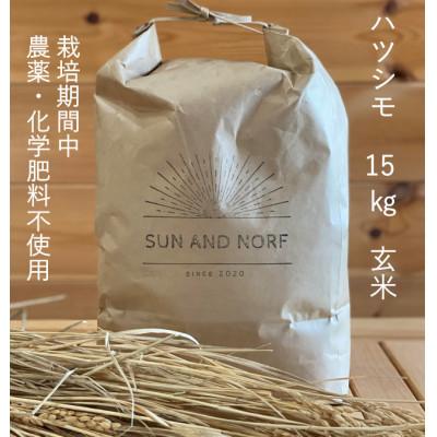 ふるさと納税 養老町 【令和7年産】初霜(源種)　玄米15kg　(栽培期間中農薬・化学肥料不使用)