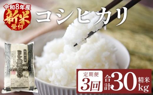 〈 先行予約 〉 【 定期便 3回 】 令和8年産 コシヒカリ 精米 30kg (10kg×3) 新米 こめ コメ お米 ご飯 白米 こしひかり IS01339-04-sku