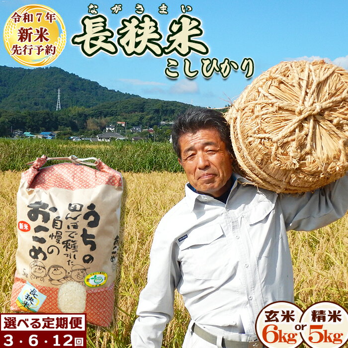 【ふるさと納税】《令和7年産 新米》田代農園の定期便『長狭米コシヒカリ（一等米）』選べる《玄米6kg／精米5kg》×3カ月/6カ月/12カ月　[0054-0003]
