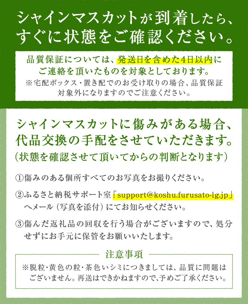 農家直送!『シャインのふるさと甲州』極上シャインマスカット2房 合計1kg～1.2kg程度【2024年発送】（SFK）B15-855