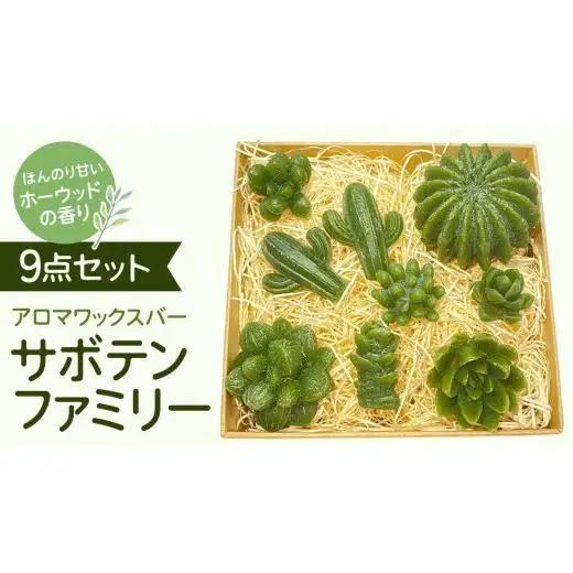 アロマワックスバー サボテンファミリー 9点セット ( ホーウッド / 緑色 )