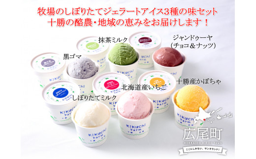 放牧牛のしぼりたてミルクアイス6種の味セット(AB0003)