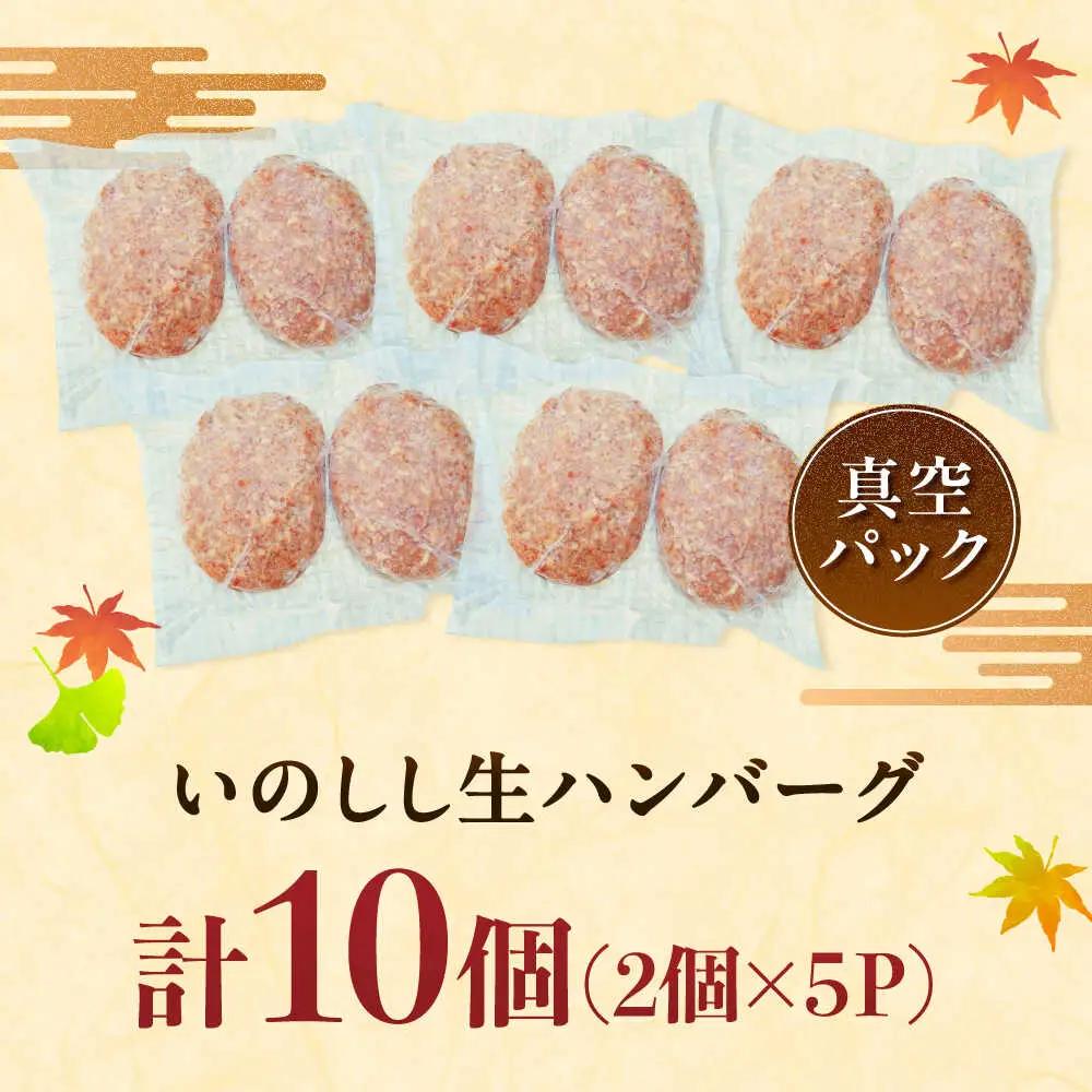 猪肉の生ハンバーグ 計10個（120g×2個入り×5パック） / 佐賀県 / ジビエ唐津 [41ABAG005]