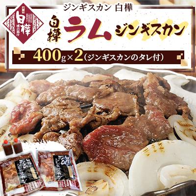 ふるさと納税 帯広市 白樺ラムジンギスカン(400g×2　つけタレ90g×2)