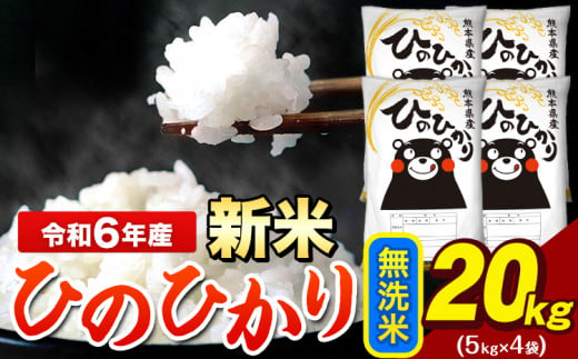 令和6年産 新米 早期先行予約受付中 ひのひかり 無洗米 20kg 《11月-12月より出荷予定》 5kg×4袋 熊本県産（荒尾市産含む） 米 精米 ひの