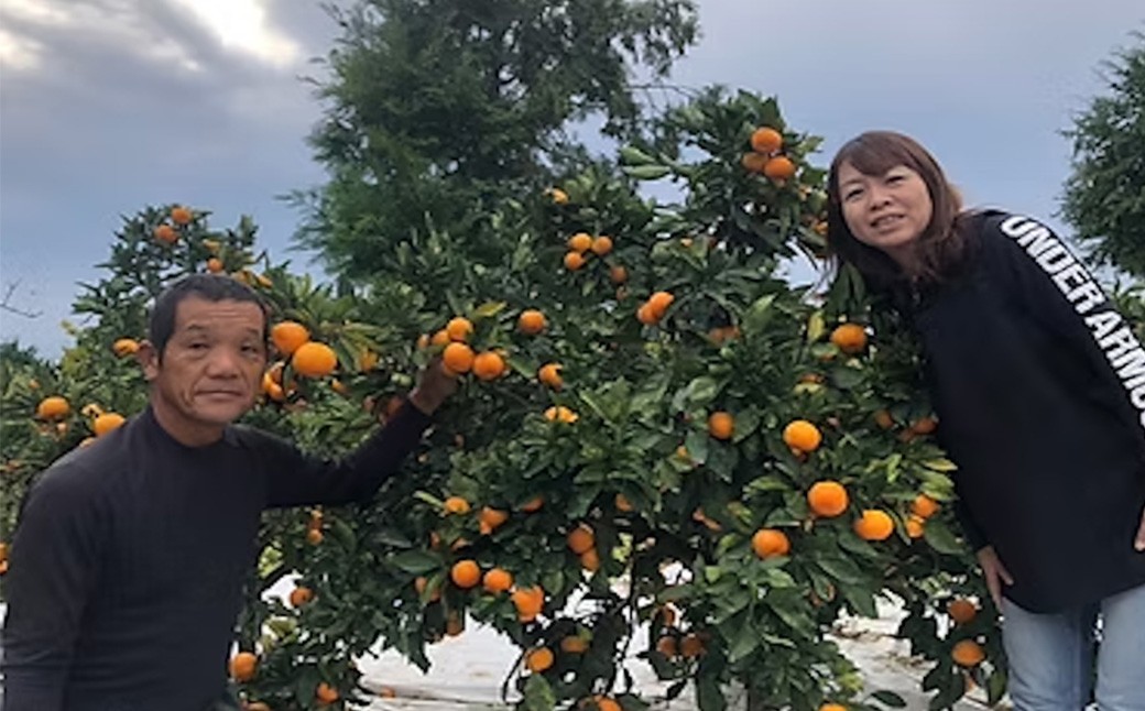まちなが家族農園の完熟みかん 5kg