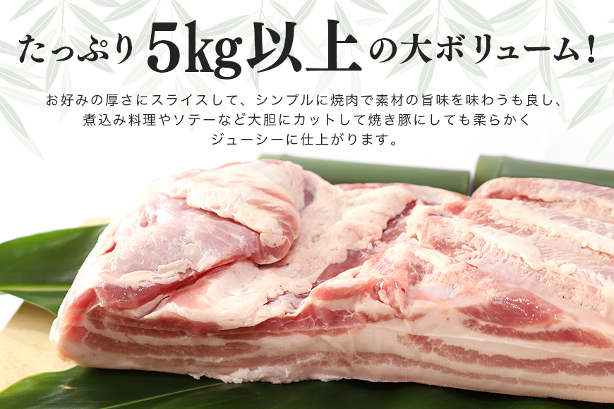 ブランド豚「ばんぶぅ」豚バラブロック1本